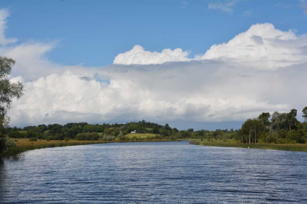 DSC_6161Mittel_.JPG